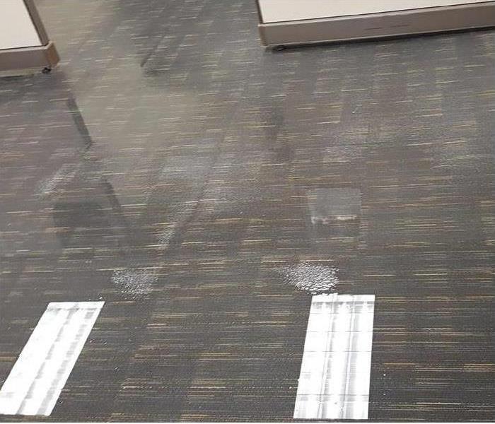 Standing water on carpets.