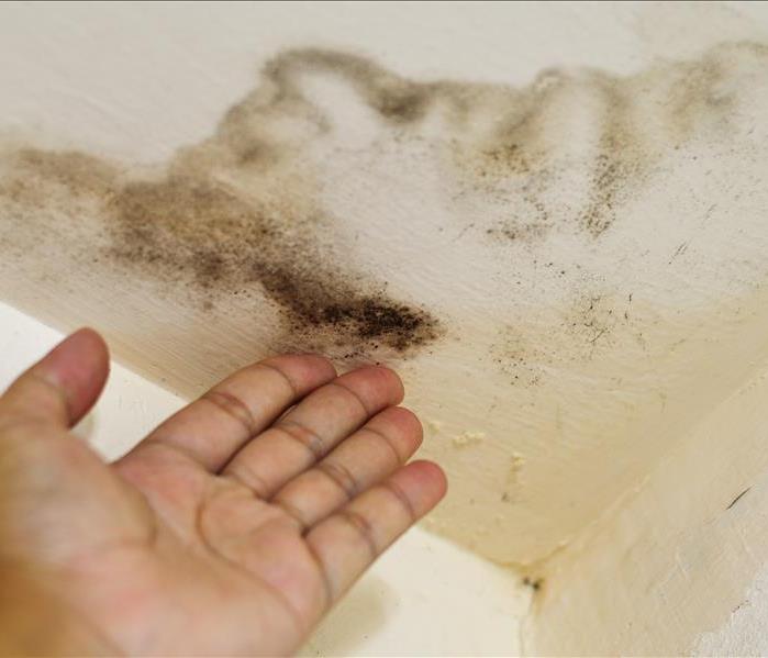 Hand pointing to mold growth on ceiling in Woodstock, GA