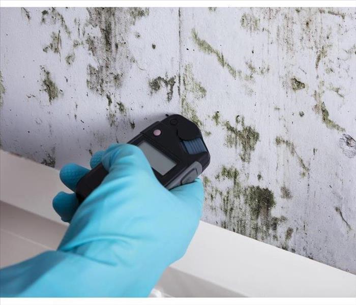 Close-up Of Person Hand Wearing Gloves Measuring Wetness Of A Moldy Wall in Woodstock, GA