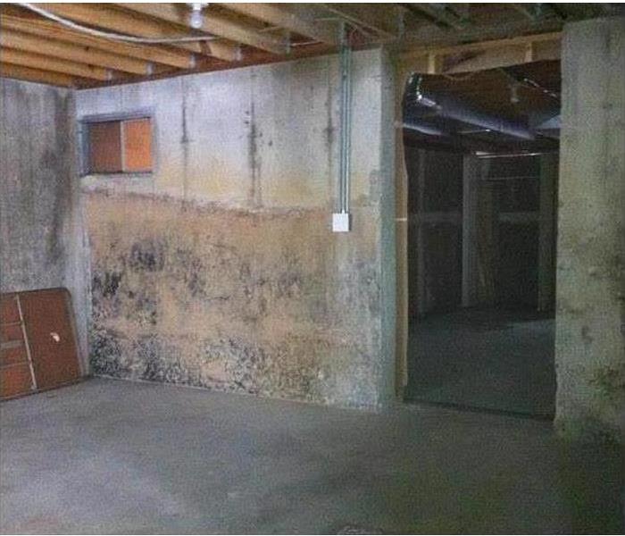 Empty building, walls covered with mold