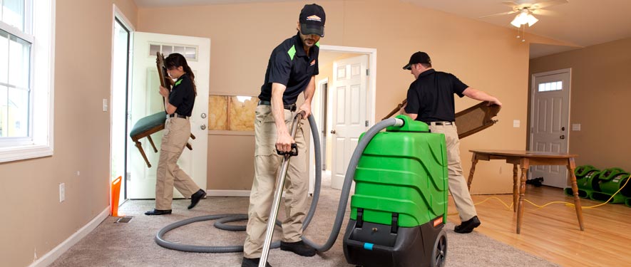 Free Home, GA cleaning services